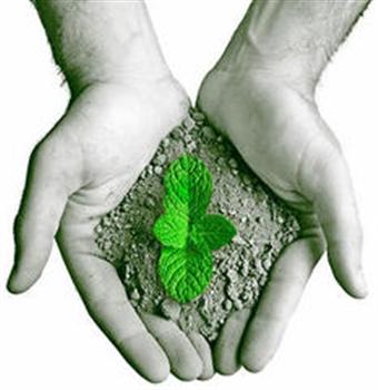 Mãos segurando punhado de terra com uma planta nascendo no meio, preto e branco somente com a folha em verde.