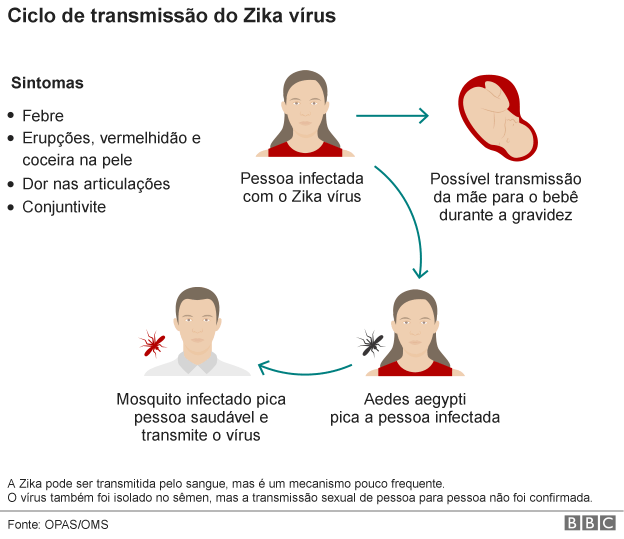 grafico zika transmissao