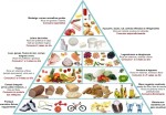 Nova-Piramide-alimentar-Piramide-Nutricional
